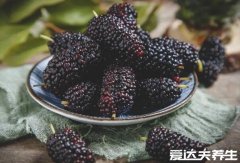 含硒第一名的水果是桑葚，营养价值远高于