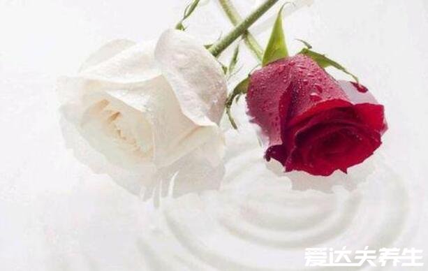 红痣与朱砂痣区别图片,两者没有区别(附朱砂痣含义)