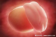 怀孕1一9月肚子变化图，3个月以后才会显肚