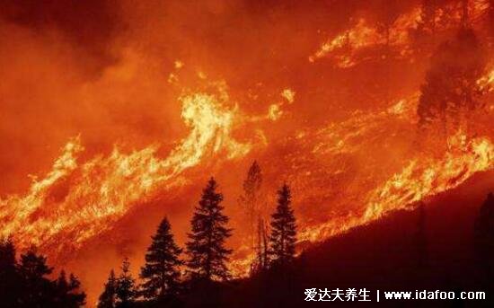 火化为什么要割内脏,会爆炸纯属谣言不割内脏也不切开腹部
