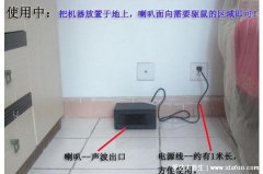 家里放一物绝对没老鼠,这五种东西放在家