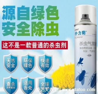 家里放一物绝对没蟑螂,4样物品亲测有效(一锅端掉所有蟑螂)