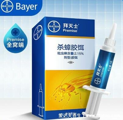 家里放一物绝对没蟑螂,4样物品亲测有效(一锅端掉所有蟑螂)