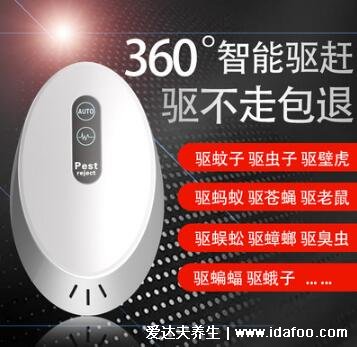 家里放一物绝对没蟑螂,4样物品亲测有效(一锅端掉所有蟑螂)