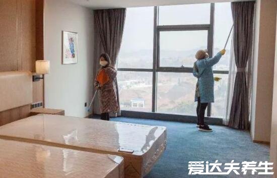 家里有蟑螂怎么办能除根,教你四种方法蟑螂死光光(强推第二种)