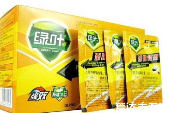 家里有蟑螂怎么办能除根,教你四种方法蟑螂死光光(强推第二种)