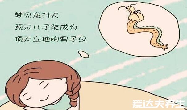 九个最准怀男孩胎梦,梦到这些动物和植物大概率生男孩