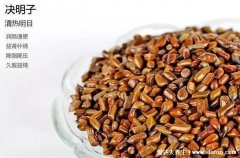 决明子伤肝最大是谣传,2-3天喝一次不伤肝