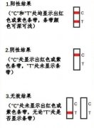 抗原检测两条杠什么意思，是阳性但不意味