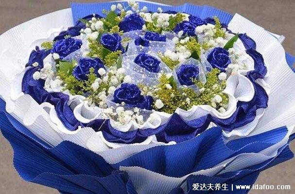 蓝色妖姬的花语是什么意思,不同数量的花朵代表什么含义(清纯的爱)