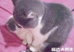 恋爱中女孩子最想要的是什么，想要男孩子