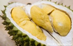 榴莲太生剥开了怎么办,四种快速催熟方法