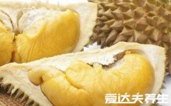 榴莲的功效与作用禁忌,滋阴壮阳但热量很