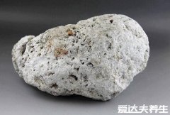 龙涎香是什么东西,不是龙的口水而是抹香