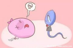 卵子排出后能存活多长时间，24小时内是怀孕