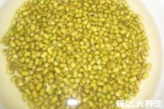 绿豆芽的生长过程记录，最详细发芽观察日