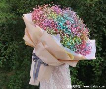 满天星适合送什么人，不同的搭配寓意及适