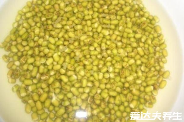 绿豆芽的生长过程记录,最详细发芽观察日记(图文)
