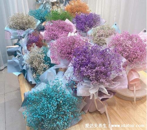 满天星所有颜色的花语,粉色满天星适合送暗恋对象表明心意