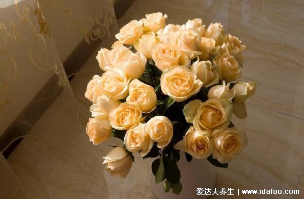 玫瑰到了花期下一句什么意思,我很想你(暗戳戳的表白情话)