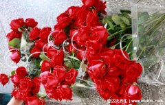 玫瑰到了花期下一句什么意思，我很想你(暗