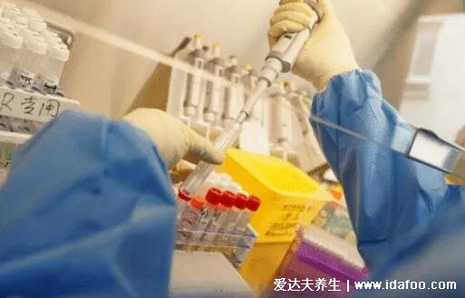 密接者隔离多少天做几次核酸,集中隔离14天加7天健康监测(7次)