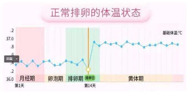 排卵期的八个征兆,注意留意白带以及体温变化(附排卵试纸图解)