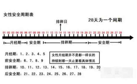 排卵期怎么算才最准确,3种方法计算排卵期(一图看懂)