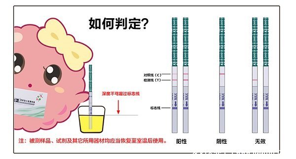 排卵期怎么算才最准确,3种方法计算排卵期(一图看懂)
