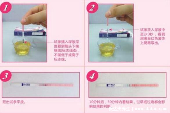 排卵试纸怎么看是排卵图片,两条很深的红杠就是处于排卵期