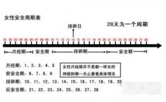 排卵期怎么算才最准确，3种方法计算排卵期