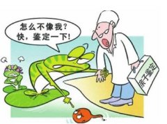 亲子鉴定小妙招，亲子鉴定最简单的方法(可