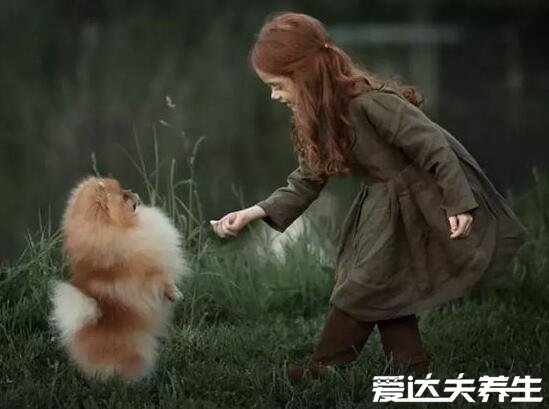 让人看了暖心的图片及句子,总有一段让你感同身受