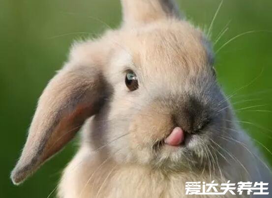 让人看了暖心的图片及句子,总有一段让你感同身受