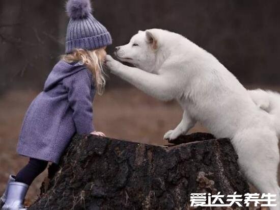 让人看了暖心的图片及句子,总有一段让你感同身受