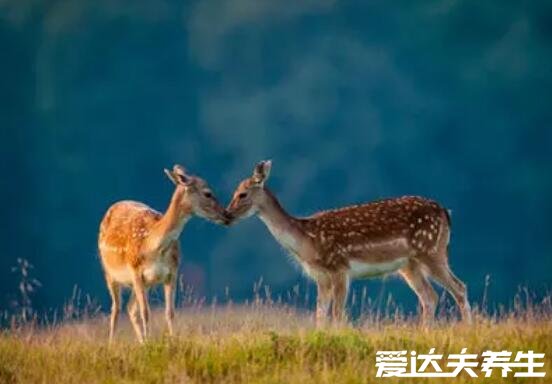 让人看了暖心的图片及句子,总有一段让你感同身受