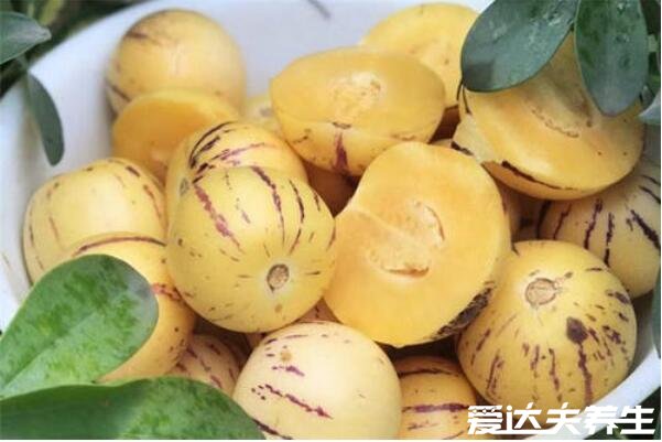 人参果是热性还是凉性,温性水果一天食用不要超过5个