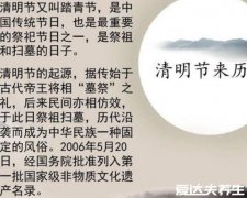 清明节的来历和风俗，只知清明不知寒食(