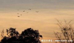 情商低的人的10个特征，说话不注重场合爱打