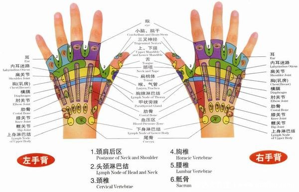 人体手部经络图及功用解析,小拇指警惕月经病