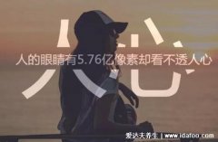 人心换不来人心的感慨，不要对一个人太过