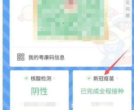 三码行程码健康码还有什么码,新冠疫苗接种记录(健康码下方有)