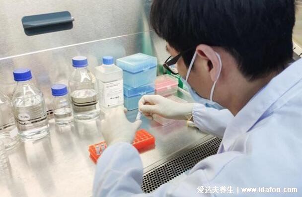 三天两检是什么意思,72小时2次核酸且间隔24小时(黄码变绿码)