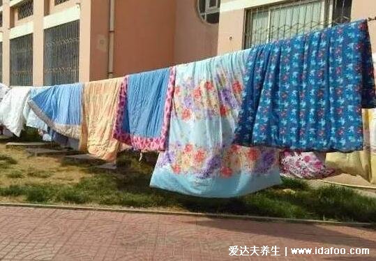 晒被子一般晒多久合适,一般2小时左右(不同材质被子时间不同)
