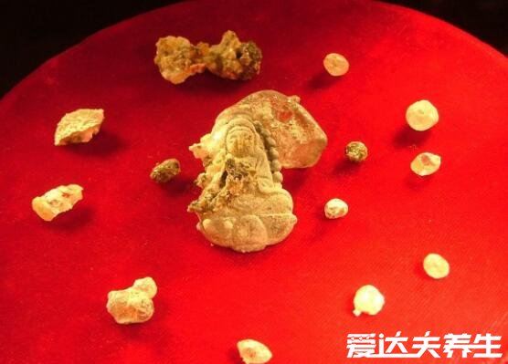 舍利子是什么东西怎么形成的,为高僧火化后的晶体(与饮食有关)