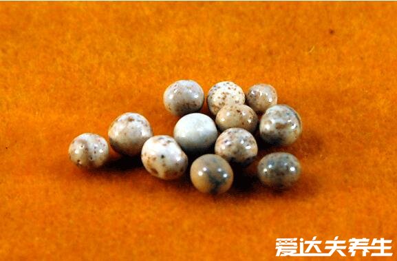 舍利子是怎么形成的,高温令化学成分改变而得到的晶体(图片)