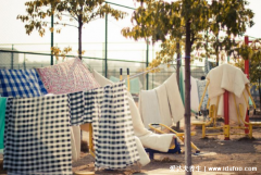 晒被子一般晒多久合适,2小时就能消毒除螨