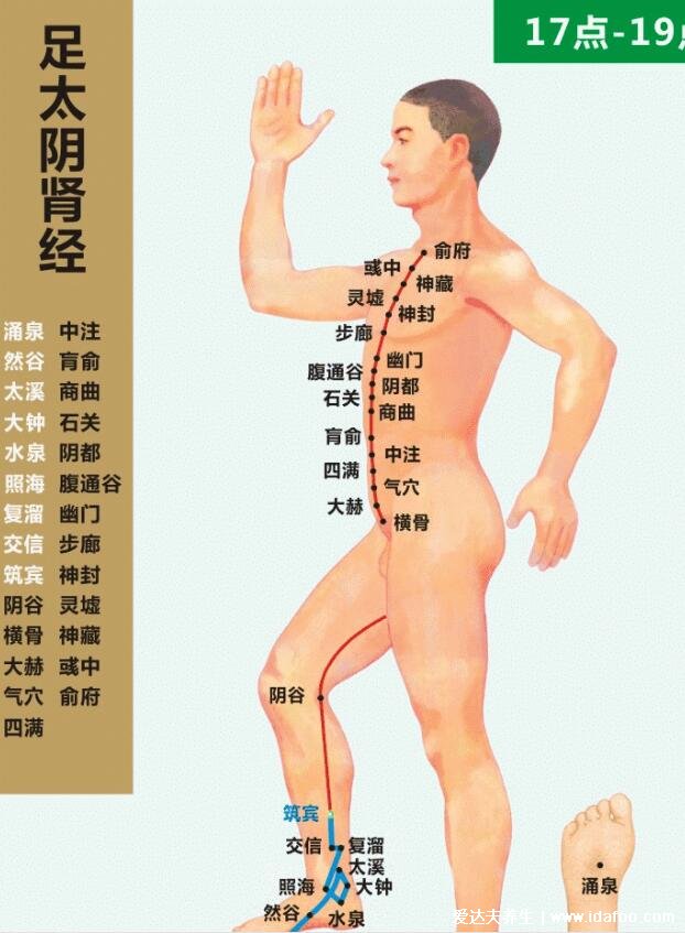 十二经络最好记的方法3分钟,夏天阳气最盛适合疏通阴经