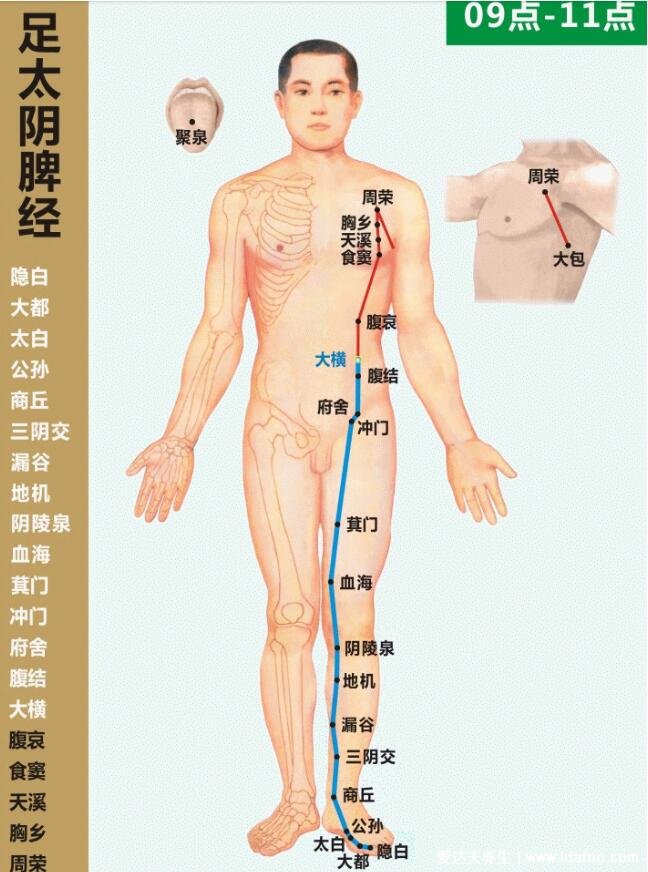 十二经络最好记的方法3分钟,夏天阳气最盛适合疏通阴经