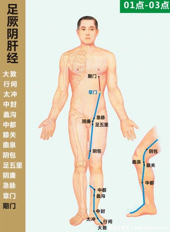 十二经络最好记的方法3分钟,夏天阳气最盛适合疏通阴经